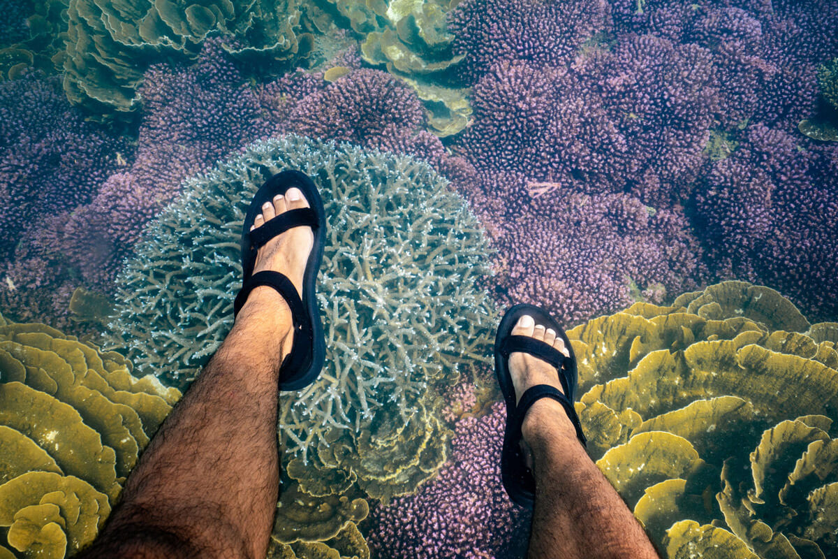 Explore the vibrant Ningaloo Reef