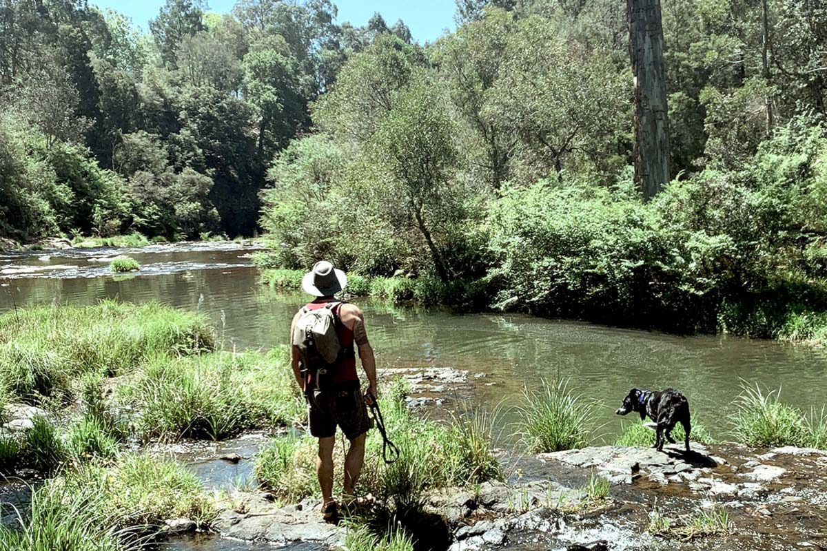 dog-friendly camping weekend