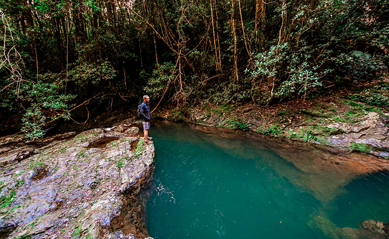 A trip down Waterfall Way