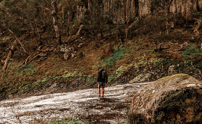 A trip down Waterfall Way