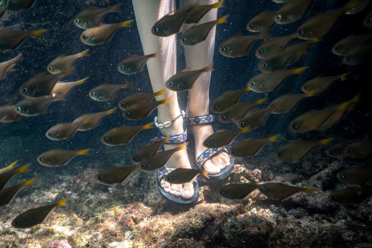 Explore the vibrant Ningaloo Reef