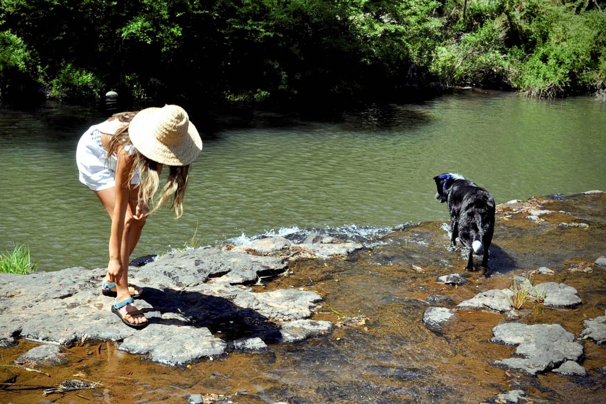 dog-friendly camping weekend