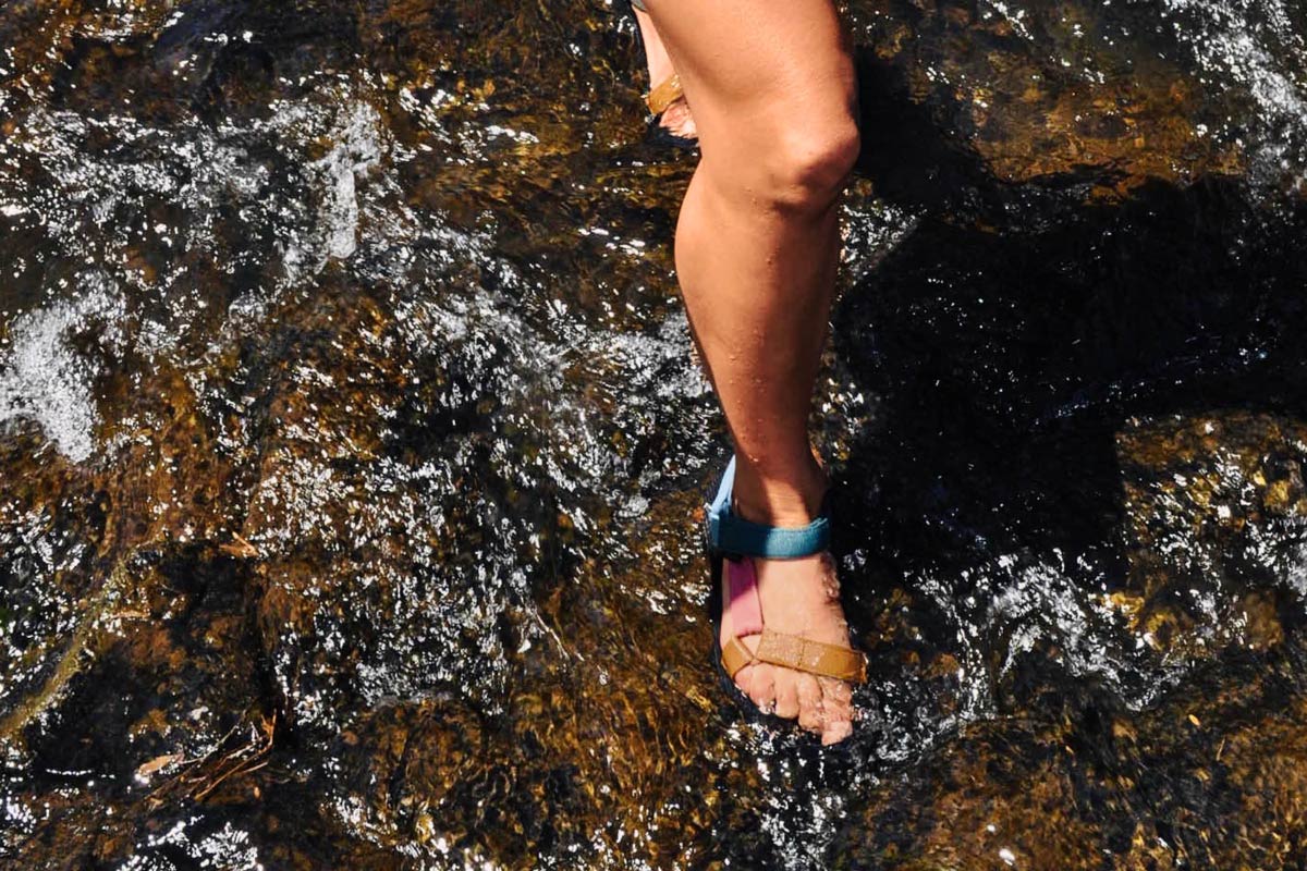 Original Universal Light Multi