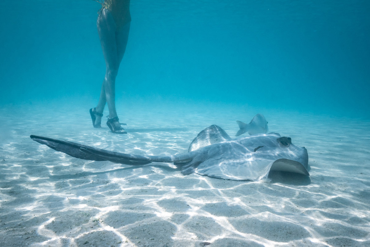 Explore the vibrant Ningaloo Reef
