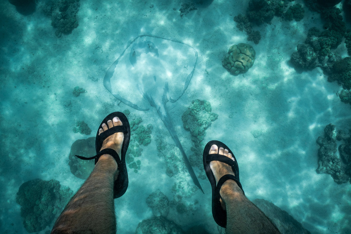 Explore the vibrant Ningaloo Reef